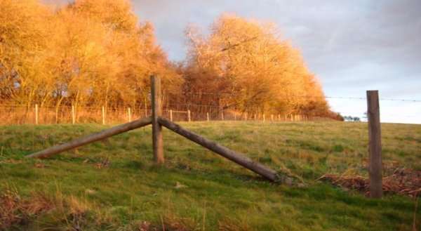 Shaws Farm