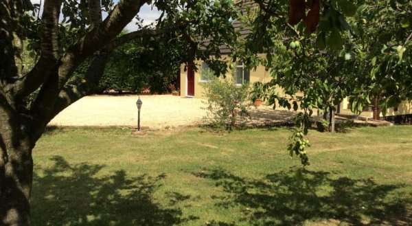 Studio Apartment Fir Trees