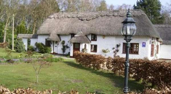 Thatch Cottage Guest House