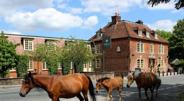 The Bell Inn Hotel