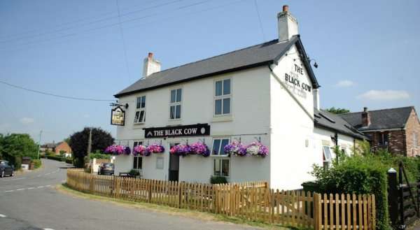 The Black Cow