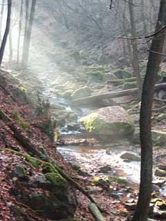 Šember