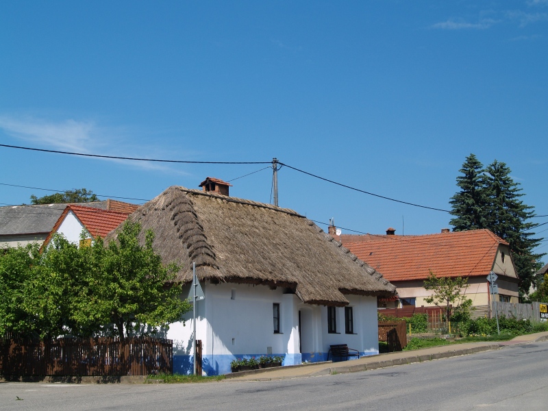 Chalupa s doškovou střechou